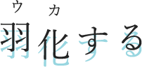 羽化する